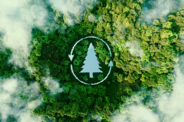 Eco-friendly afforestation program supporting SDGs