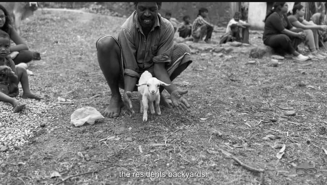 Forest conservation by Eco Serve Dev.