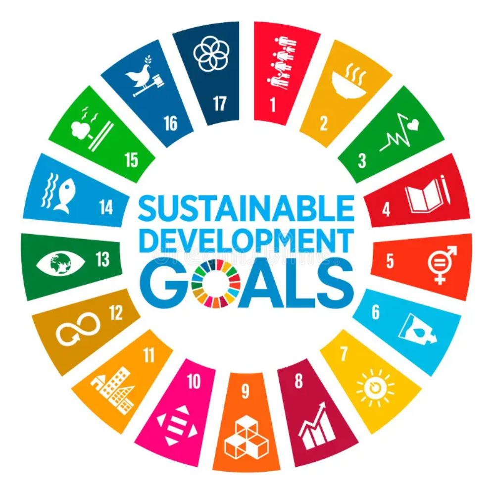 Eco-friendly urban development programs