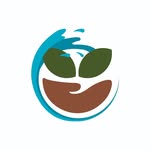 Terranova